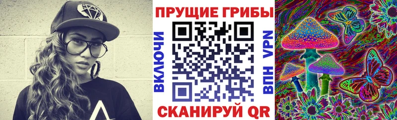 Псилоцибиновые грибы Psilocybine cubensis  Купить где  Нерчинск 