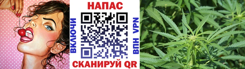 Бошки Шишки Amnesia  Купить закладки  Нерчинск 